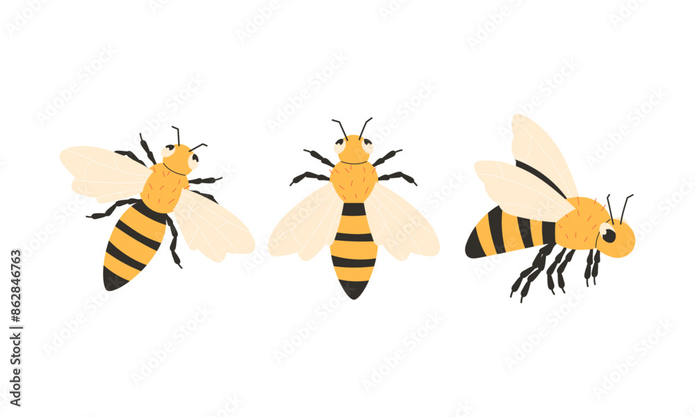 Set of cartoon bees in flat style Set of cartoon bees in flat style