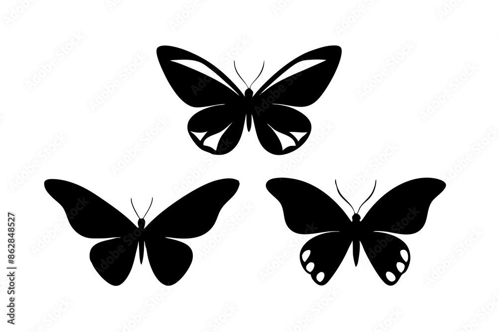 Fototapeta premium set of Butterflies silhouette on white background