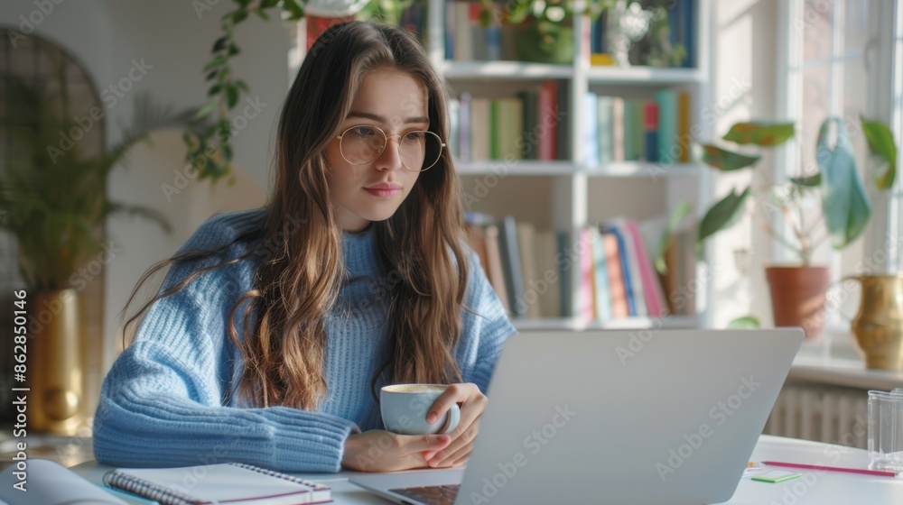 Fototapeta premium A woman with laptop