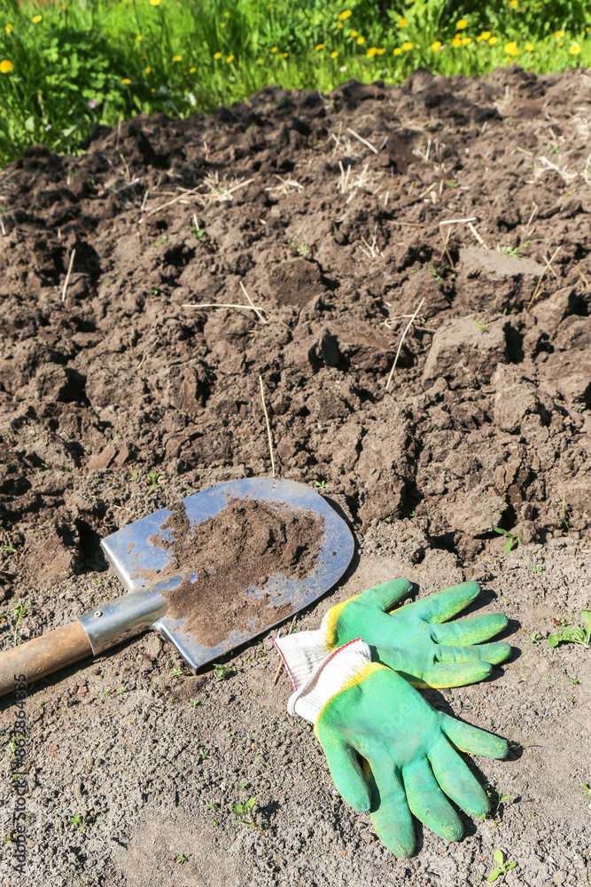 Digging up soil in garden. Shovel and gloves close up on ground on garden bed. Organic farming, gardening, growing, agriculture concept Digging up soil in garden. Shovel and gloves close up on ground on garden bed. Organic farming, gardening, growing, agriculture concept