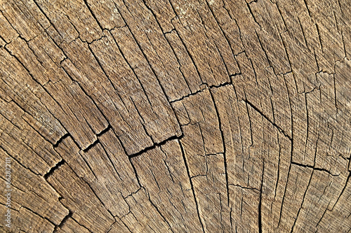 Old wooden background