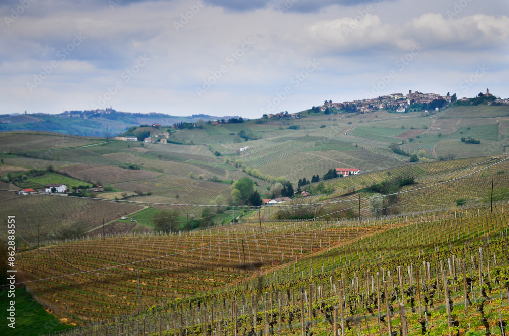 the land of wine, Langhe Piedmont Italy the land of wine, Langhe Piedmont Italy