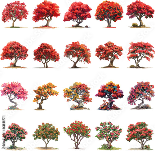 TREE SET IN COLOR STYLE, FLAMBOYANT TREE SET IN COLOR STYLE