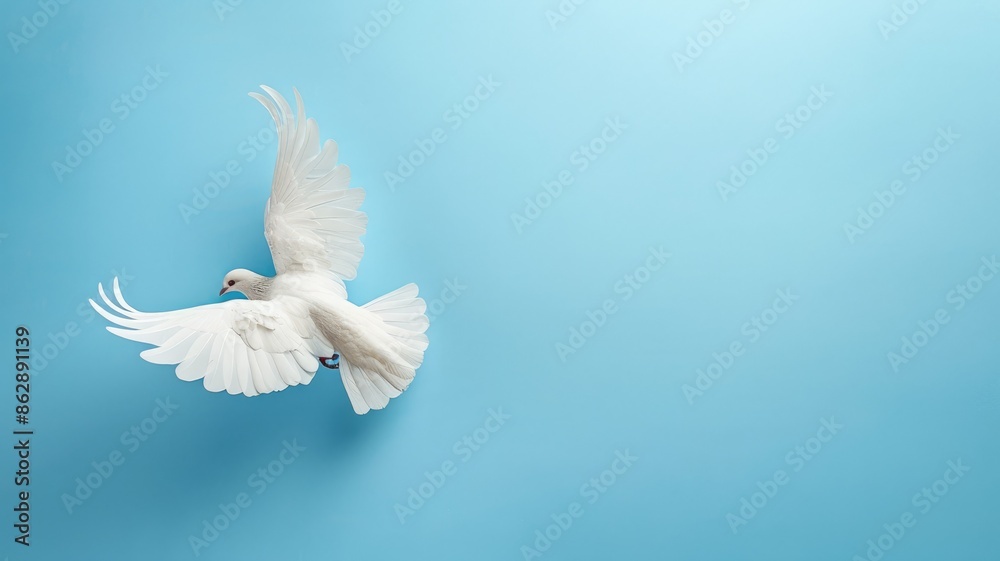 White dove flying against light blue background White dove flying against light blue background