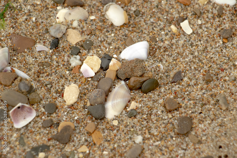beach with sand and shells, footprints in the sand beach with sand and shells, footprints in the sand