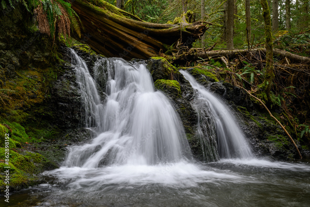 Fototapeta premium A Waterfall on San Juan Island in Washington State