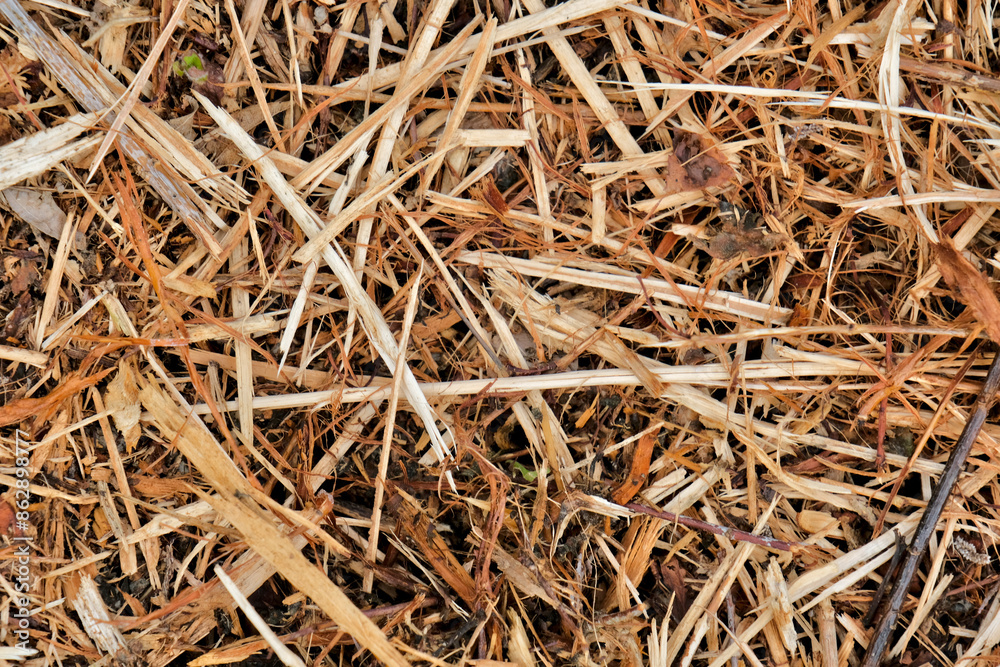 Close-up of mulch, made from shredded branches. Close-up of mulch, made from shredded branches.