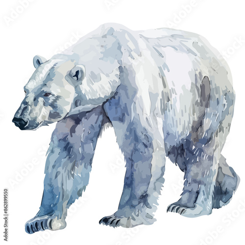 Watercolor of a Polar bear, isolated on a white background, Polar bear vector, clipart Illustration, Graphic logo, drawing design art, clipart image © mosio