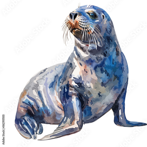 Watercolor painting of a seal, isolated on a white background, seal vector, drawing clipart, Illustration Vector, Graphic Painting, design art, logo