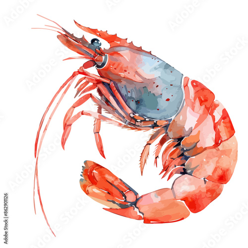 Watercolor drawing clipart of a shrimp, isolated on a white background, Illustration painting, shrimp vector, drawing, design art, clipart image, Graphic logo