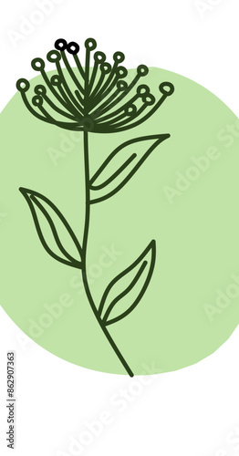 illustration of a leaf