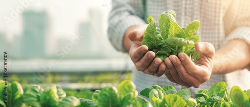 Urban farmer harvesting crops from a rooftop garden, sustainable food production, city environment photo