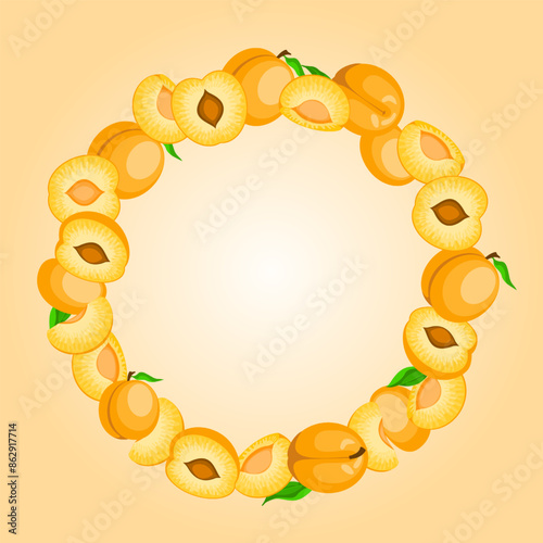 apricot frame, a lot of ripe apricots are arranged in the form of a round border. Painted juicy sweet whole orange fruits and pieces, in cartoon style. vector illustration