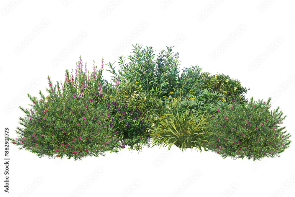 Fototapeta premium Green garden bushes cut out on white