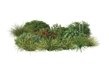 Green Garden bushes, shrub flowers and grass flowers on transparent background