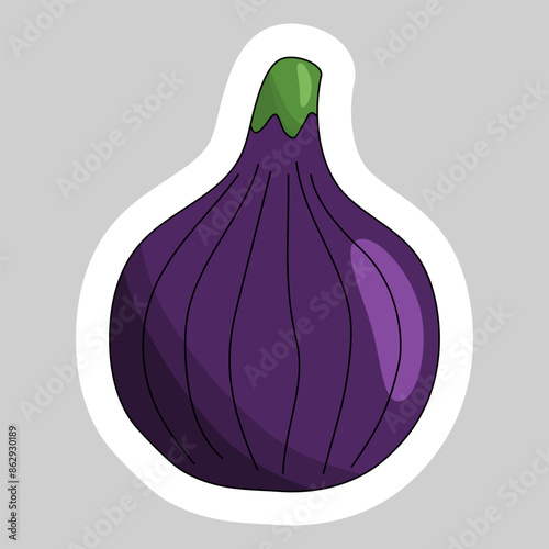 Sticker with ripe fig fruit, summer fruit vector illustration