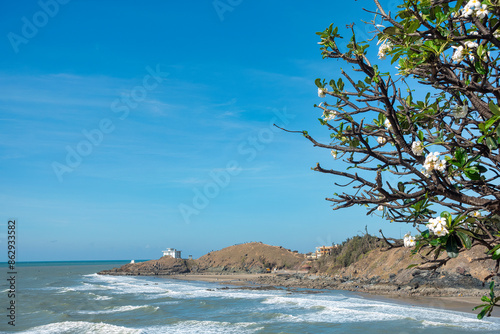 VUNG TAU, VIET NAM – FEB 06, 2023: Nghinh Phong Cape in Vung Tau city, Vietnam