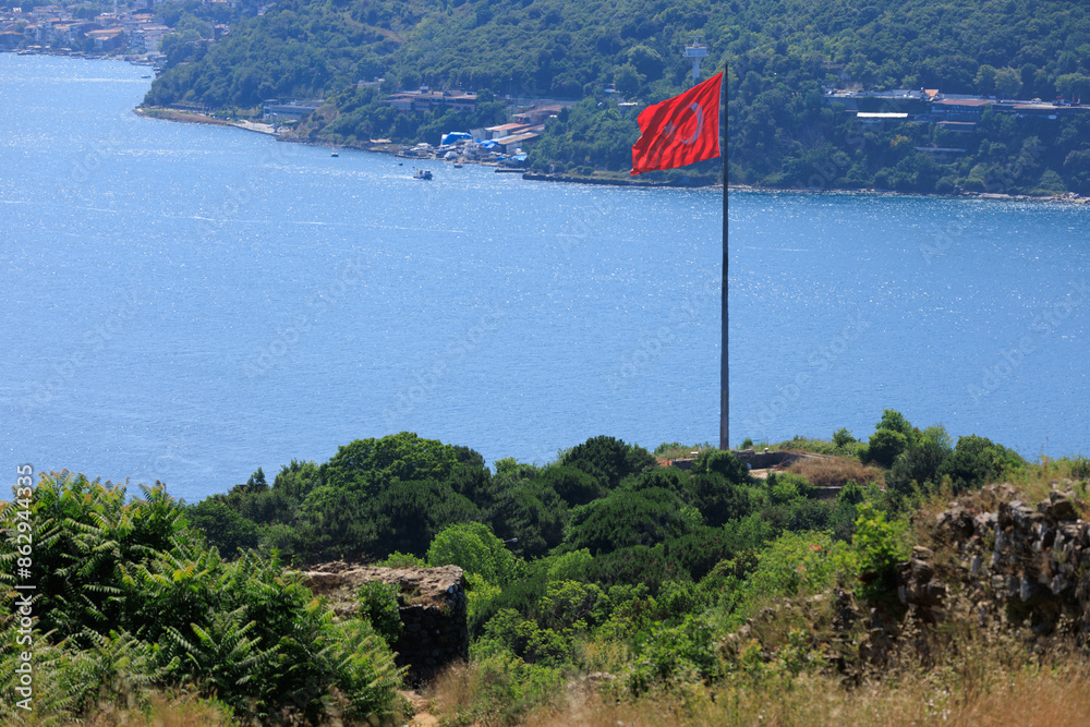 Fototapeta premium Turkish flag, on a red background white star and moon. Turkish flag flies in the wind against the backdrop of Istanbul