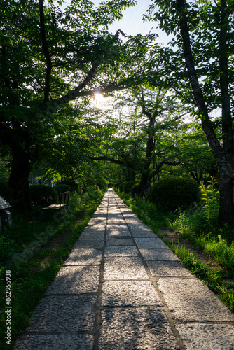 Stone sidewalk among the trees with sunset