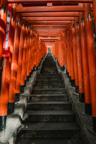 Red torii gates passage staircase tunnel