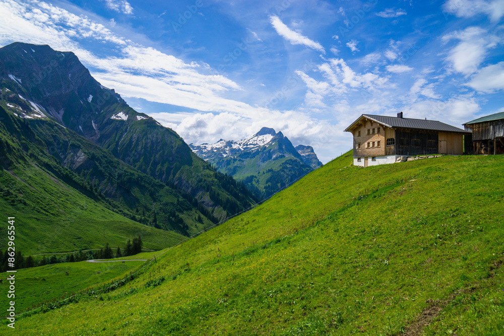 panorama with alpine farm in the mountains from Austria, farmhouse and cows on flowered meadow, with snow-covered mountain in background, alp in springtime, valley with winding road, snowy steep slope panorama with alpine farm in the mountains from Austria, farmhouse and cows on flowered meadow, with snow-covered mountain in background, alp in springtime, valley with winding road, snowy steep slope