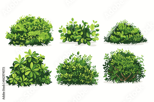 Set of vector bush illustrations on a white background. Green flat bushes on white background. Green grass vector set. Shrub bush shrubbery tree simple abstract. Eco element, foliage, stylized ecology