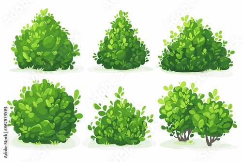 Set of vector bush illustrations on a white background. Green flat bushes on white background. Green grass vector set. Shrub bush shrubbery tree simple abstract. Eco element, foliage, stylized ecology