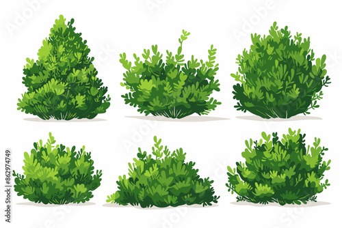 Set of vector bush illustrations on a white background. Green flat bushes on white background. Green grass vector set. Shrub bush shrubbery tree simple abstract. Eco element, foliage, stylized ecology