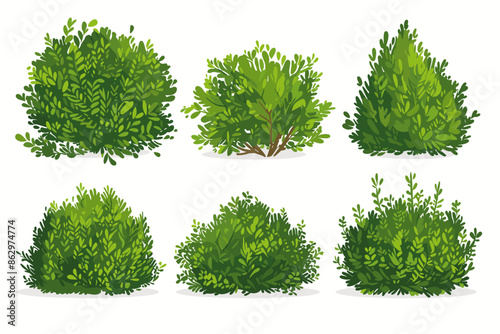 Set of vector bush illustrations on a white background. Green flat bushes on white background. Green grass vector set. Shrub bush shrubbery tree simple abstract. Eco element, foliage, stylized ecology