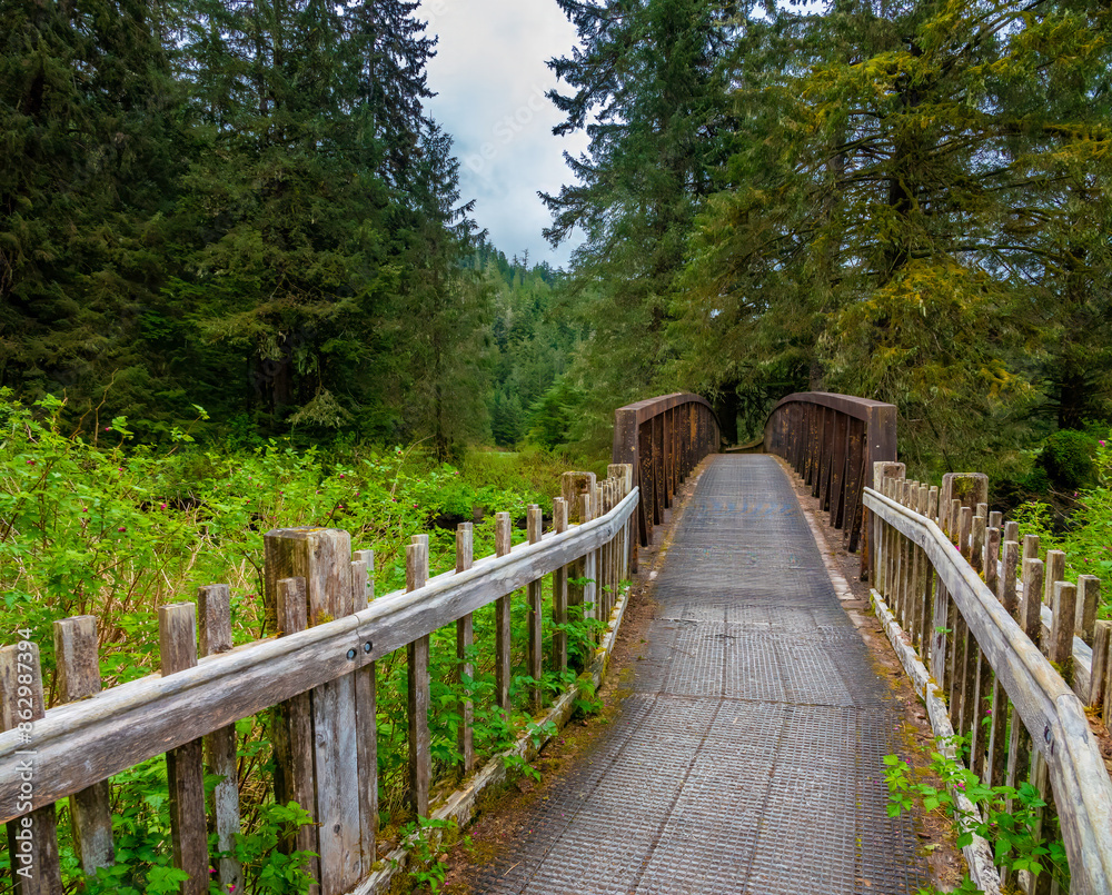 Hiking loop around Ward Lake, Tongass National forest, Ketchikan, Alaska, the largest of the USA Hiking loop around Ward Lake, Tongass National forest, Ketchikan, Alaska, the largest of the USA
