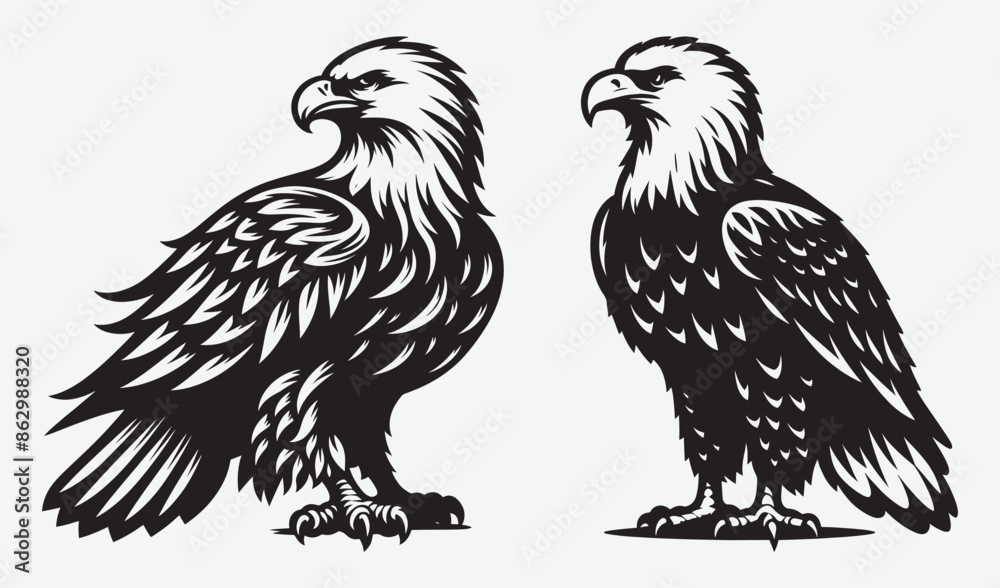 Obraz premium Eagle vector art illustration silhouette collection