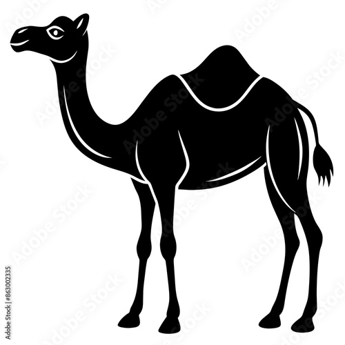 Camel silhouette vector illustration
