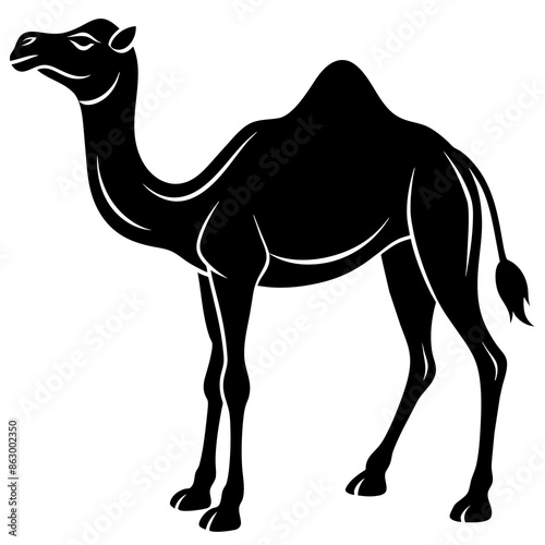 Camel silhouette vector illustration