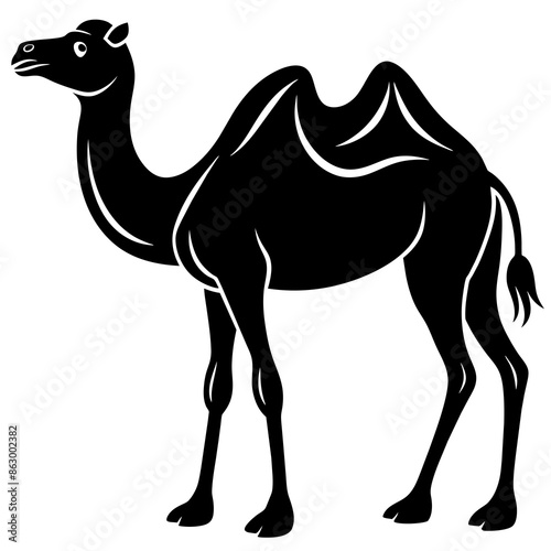 Camel black silhouette vector art illustration