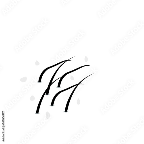hair dandruff