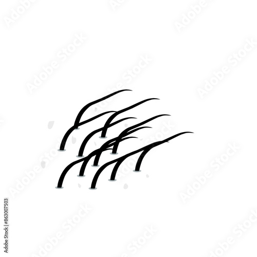 hair dandruff