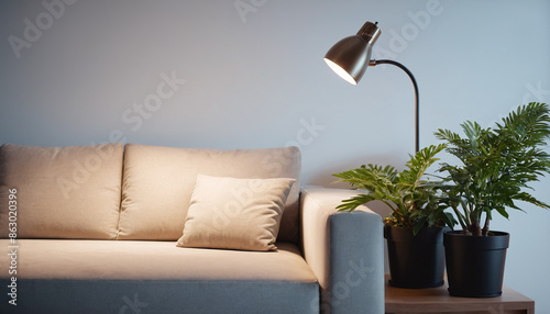 Frontal view of a simple and cozy sofa with a lamp and plants standing next to it in the living room photo