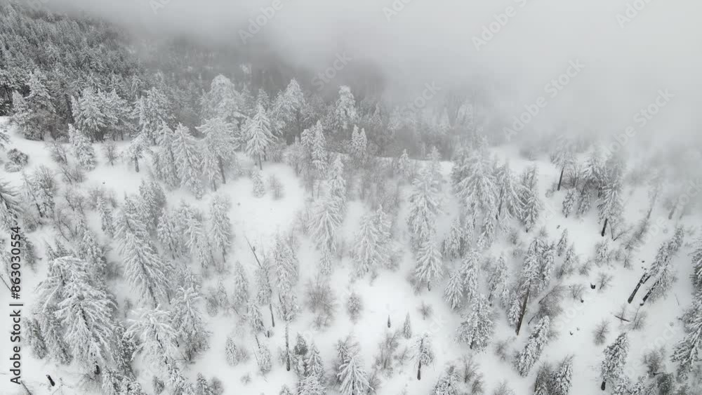 Aerial of a road winding through the mountains after a snow storm outside of Los Angeles California. Aerial of a road winding through the mountains after a snow storm outside of Los Angeles California.