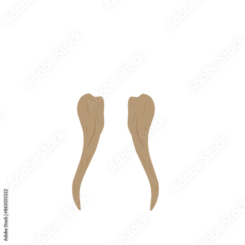 elephant ivory