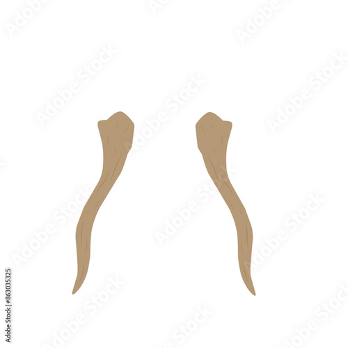 elephant ivory