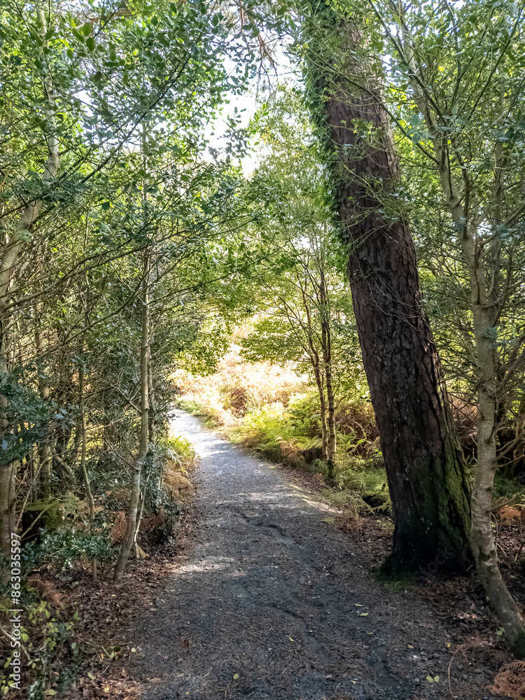Path in Glenveagh National Park, Republic Donegal, Ireland Path in Glenveagh National Park, Republic Donegal, Ireland