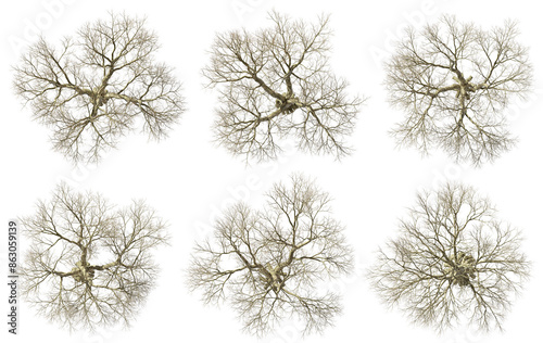 Φωτογραφία Aerial view arid trees set isolated transparent backgrounds 3d rendering png