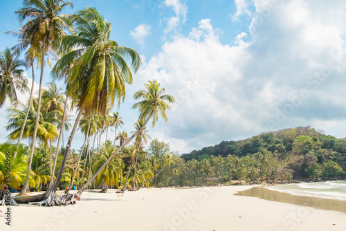 Resort sandy beach with coconut palm trees on island on sea or ocean shore on sunny day.