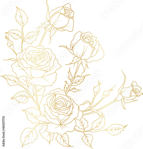 Luxury Rose flowers gold line art illustration