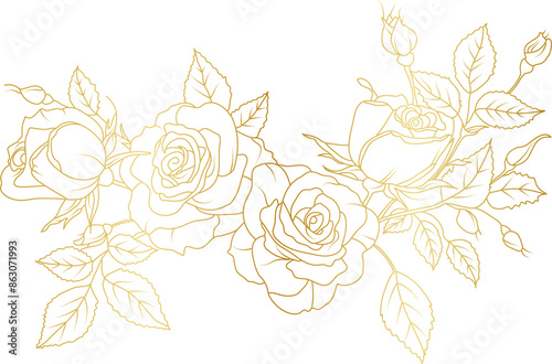 Luxury Rose flowers gold line art illustration