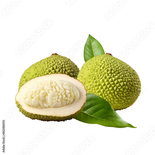breadfruit transparent background photo