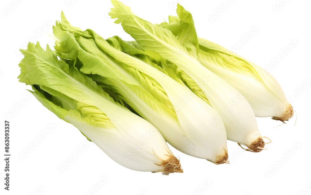 Obraz premium fresh green onion