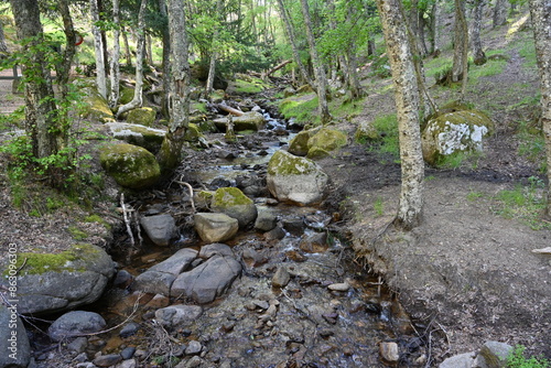 Arroyo del sestil del maillo , canencia photo