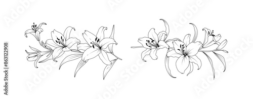 Lily flower arrangement line art on white background. Silhouette lilies botanical hand drawn element for wedding, invitation frame design, vector illustration