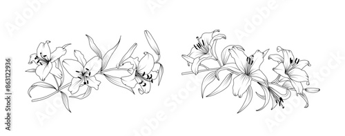 Lily flower arrangement line art on white background. Silhouette lilies botanical hand drawn element for wedding, invitation frame design, vector illustration